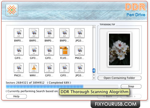 DDR Pen Drive Recovery for Mac